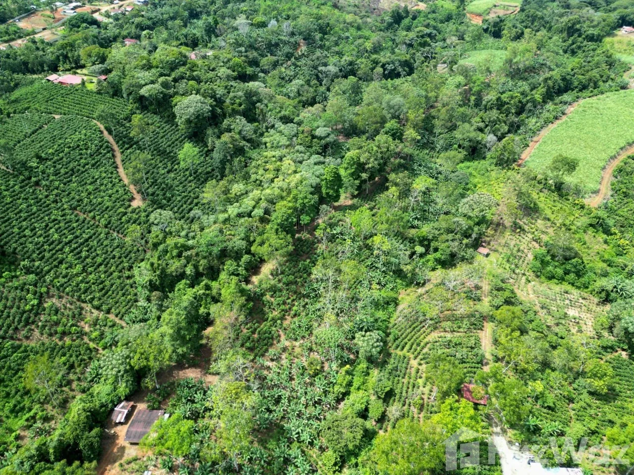 Land for Sale in Perez Zeledon, San Jose for $150,000 — photo 5