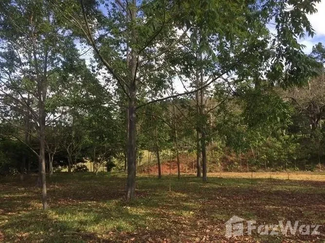 Land for Sale in Puriscal, San Jose for $248,000
