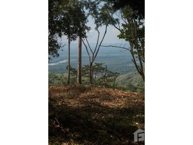 Land for Sale in Osa, Puntarenas for $525,000