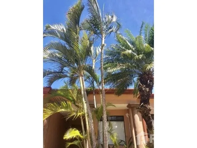 3 Bedroom Apartment for Sale at Apartment For Sale in Pozos for $570,000