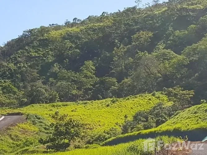 Land for Sale at Playa Flamingo for $139,000