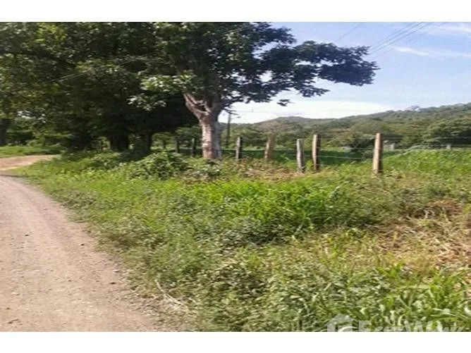 Land for Sale in Nicoya, Guanacaste for $43,000