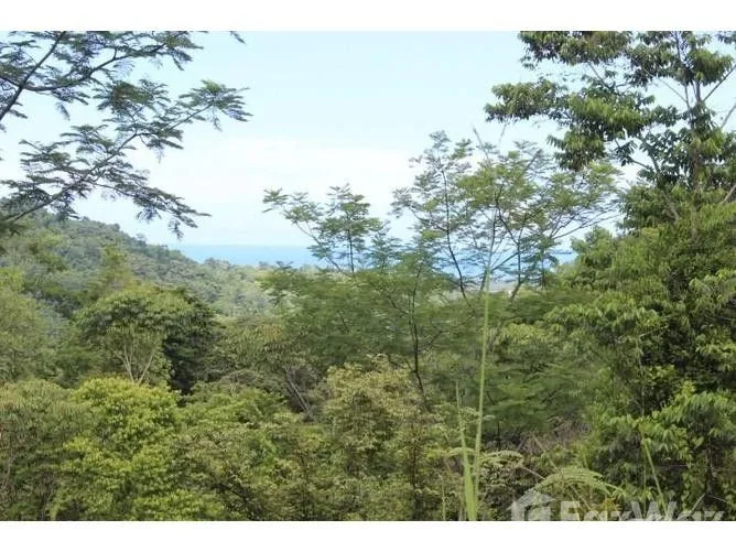 Land for Sale in Osa, Puntarenas for $79,000