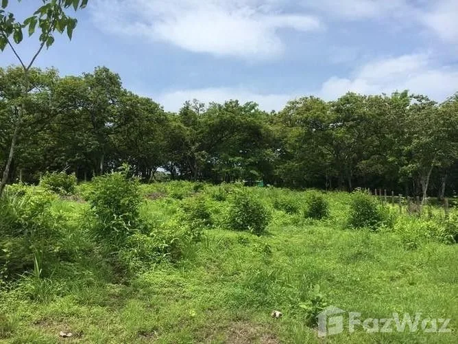 Land for Sale in Hojancha, Guanacaste for $160,000