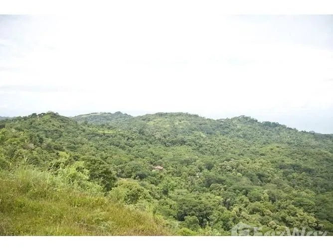 Land for Sale in Perez Zeledon, San Jose for $7,000,000
