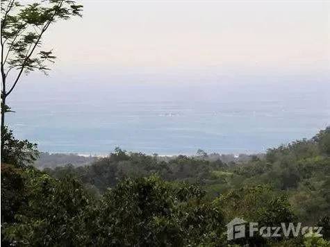 Land for Sale in Osa, Puntarenas for $119,000