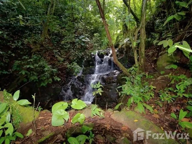 Land for Sale in Aguirre, Puntarenas for $250,000