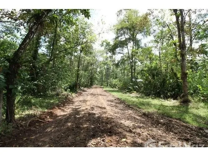 Land for Sale in Sarapiqui, Heredia for $561,000