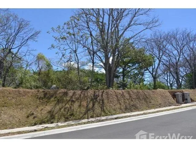 Land for Sale in Alajuela, Alajuela for $157,500