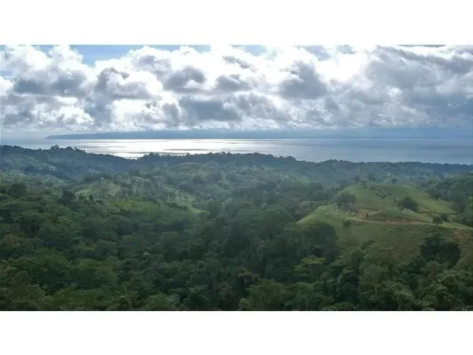 Land for Sale in Golfito, Puntarenas for $110,000