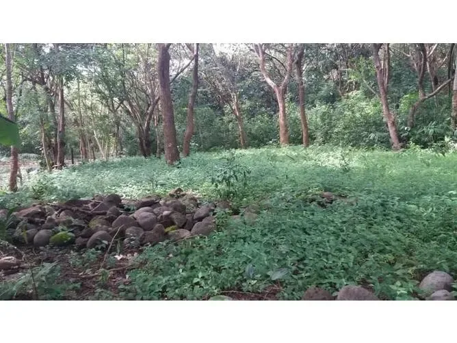 Land for Sale in Nicoya, Guanacaste for $67,000