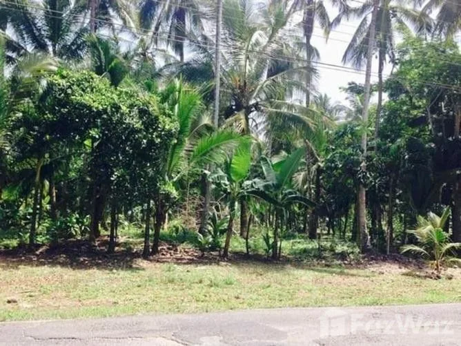 Land for Sale in Limon, Limon for $250,000
