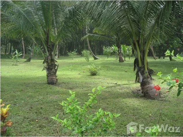 Land for Sale in Pococi, Limon for $2,000,000