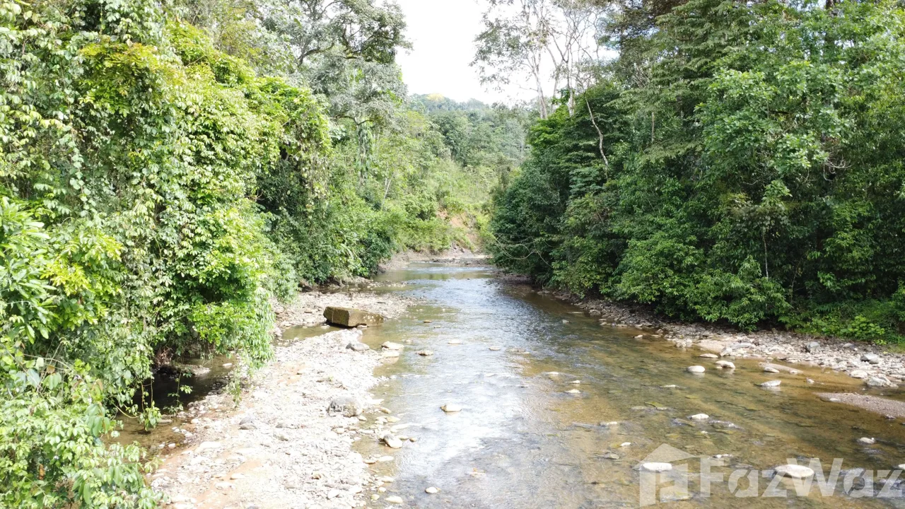 Land for Sale in Perez Zeledon, San Jose for $2,100,000 — photo 3