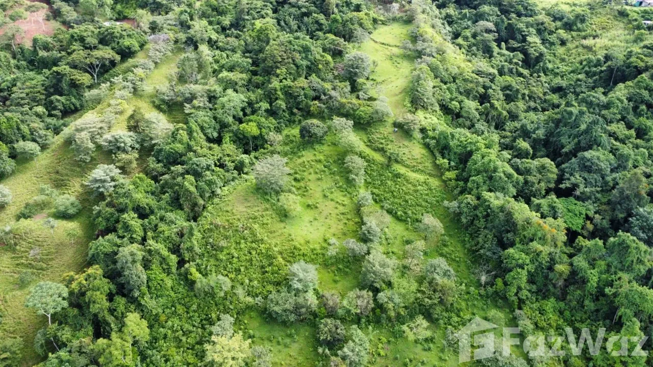 Land for Sale in Perez Zeledon, San Jose for $129,999