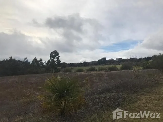 Land for Sale in Cartago, Cartago for $351,081