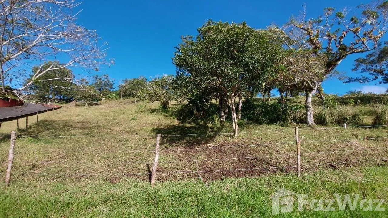 Land for Sale in Moravia, San Jose for $125,000