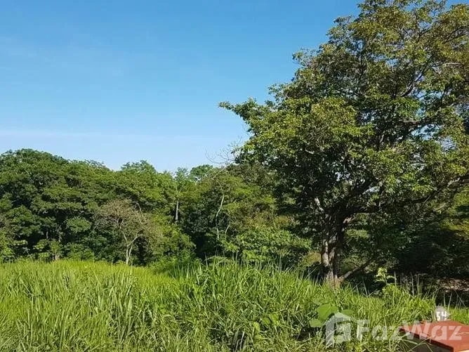 Land for Sale in Santa Cruz, Guanacaste for $99,000