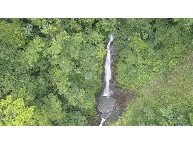 Land for Sale in Osa, Puntarenas for $325,000