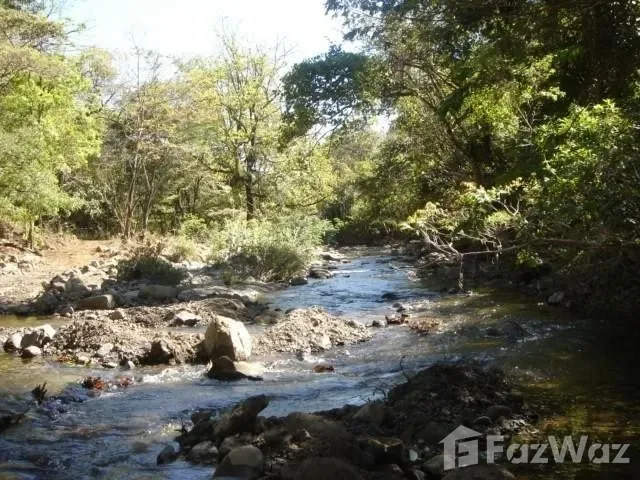 Land for Sale in Nandayure, Guanacaste for $176,000