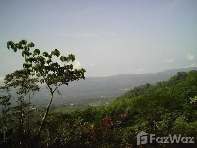 Land for Sale in Coto Brus, Puntarenas for $375,000