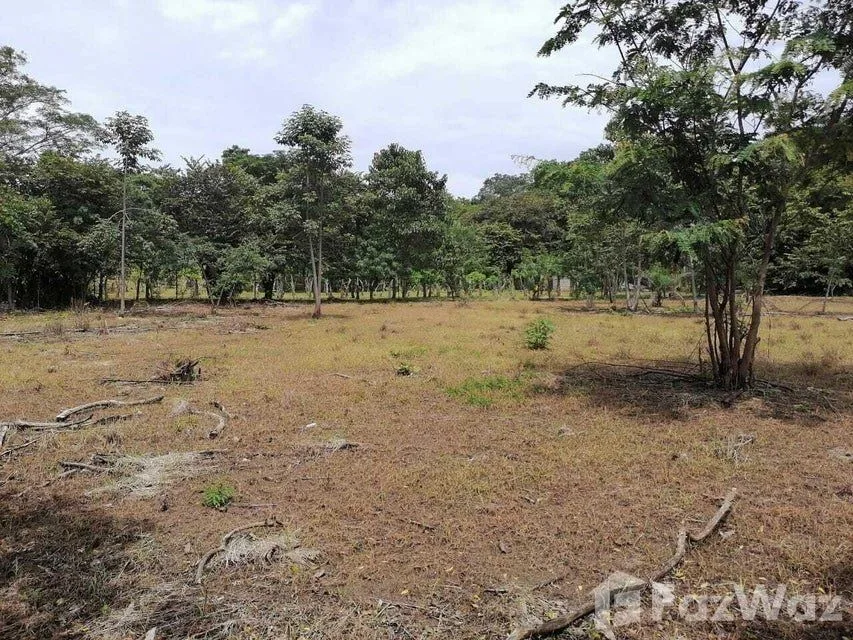Land for Sale in Carrillo, Guanacaste for $110,000