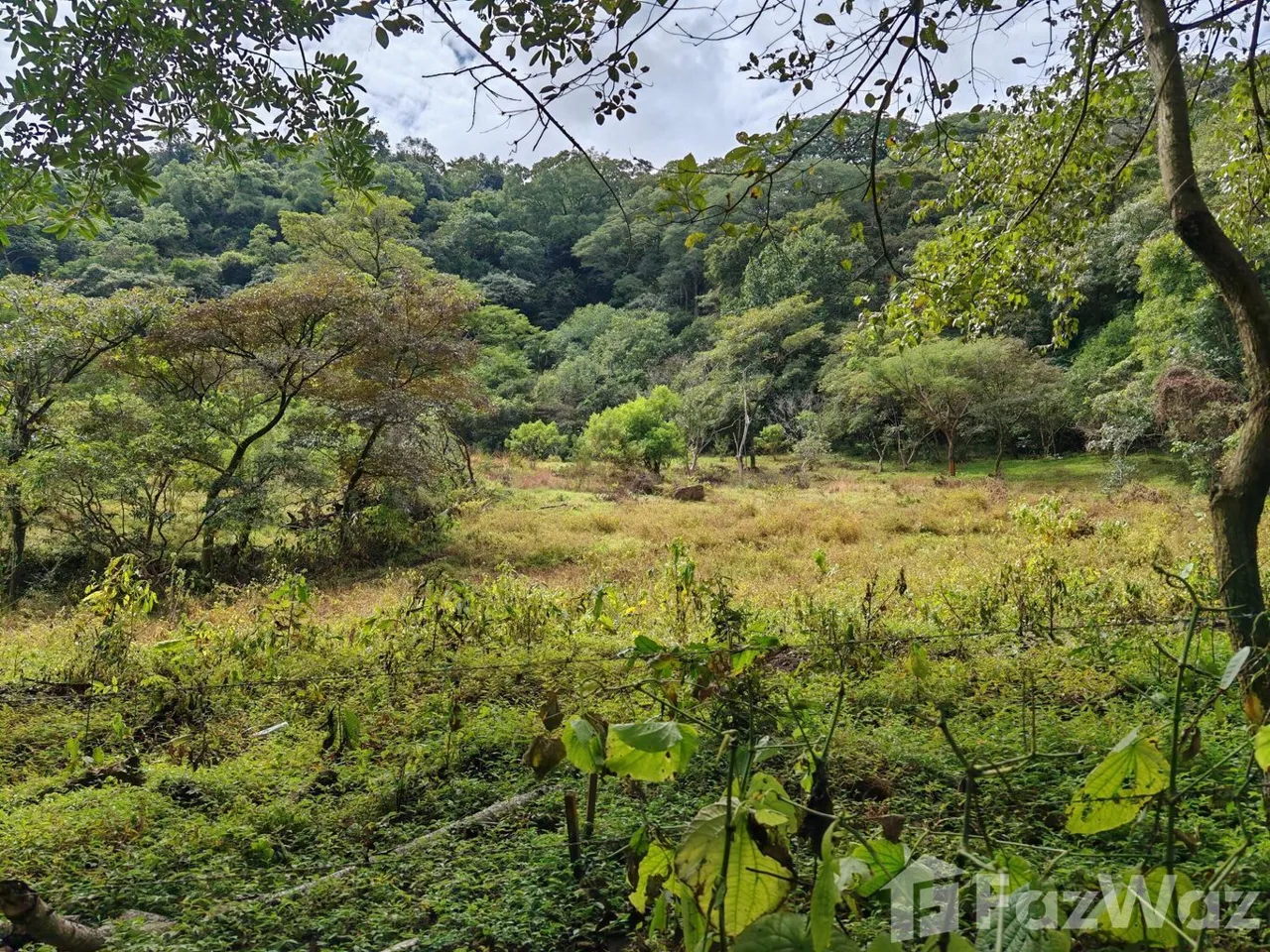 Land for Sale in Mora, San Jose for $1,530,000