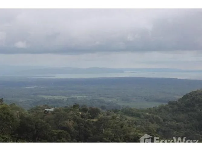 Land for Sale in Osa, Puntarenas for $319,000