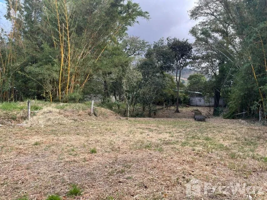 Land for Sale in Santa Ana, San Jose for $161,000