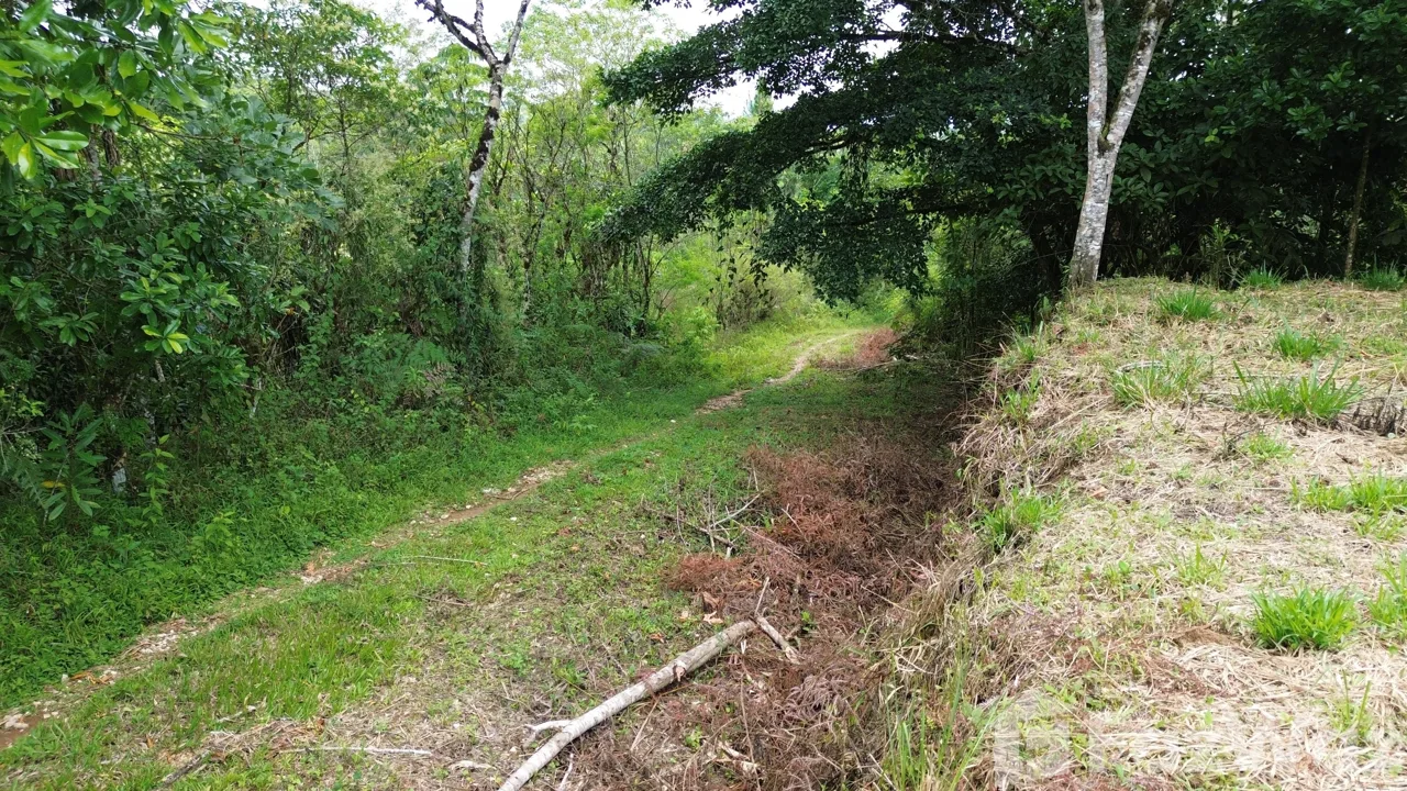 Land for Sale in Coto Brus, Puntarenas for $60,000