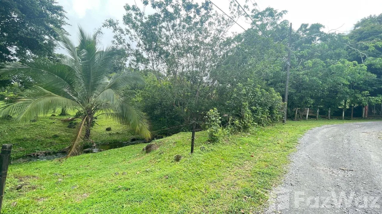 Land for Sale in Pococi, Limon for $79,000