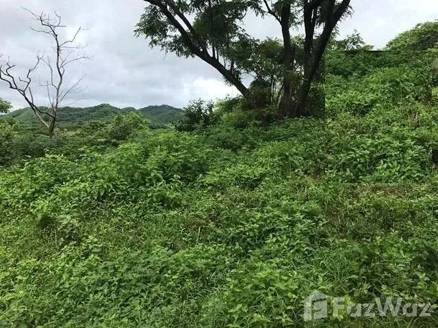 Land for Sale in La Cruz, Guanacaste for $85,000