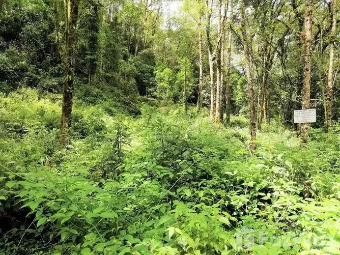Land for Sale in Perez Zeledon, San Jose for $605,600