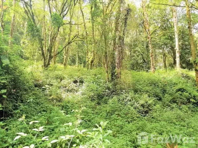 Land for Sale in Perez Zeledon, San Jose for $605,600 — photo 2