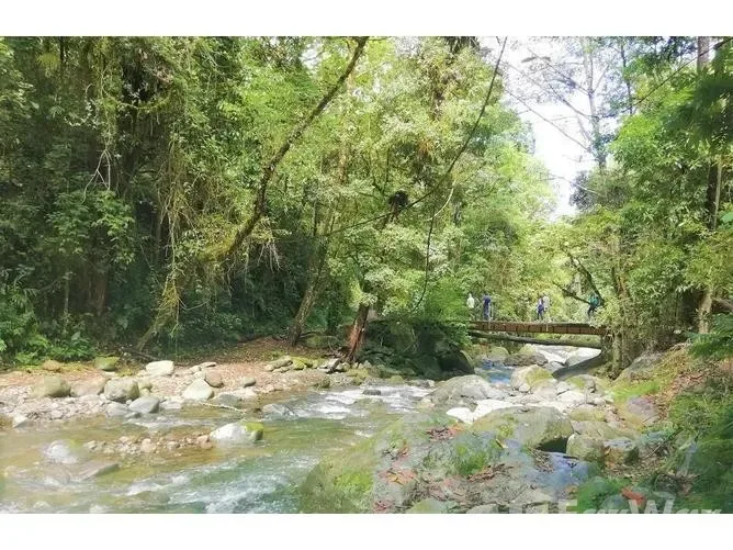 Land for Sale in Perez Zeledon, San Jose for $605,600 — photo 3