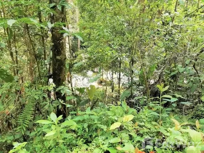 Land for Sale in Perez Zeledon, San Jose for $605,600 — photo 4