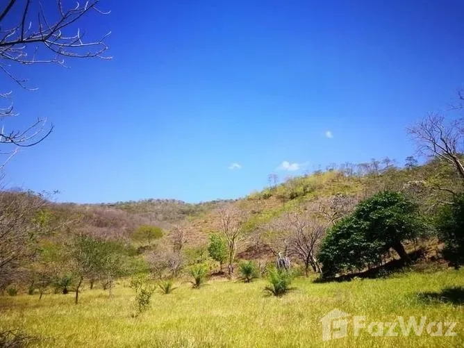 Land for Sale in Canas, Guanacaste for $294,545