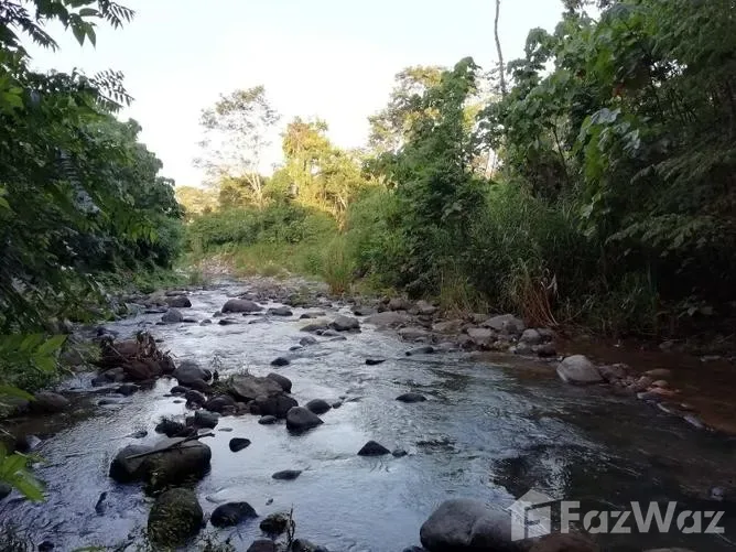 Land for Sale at Uvita for $70,000
