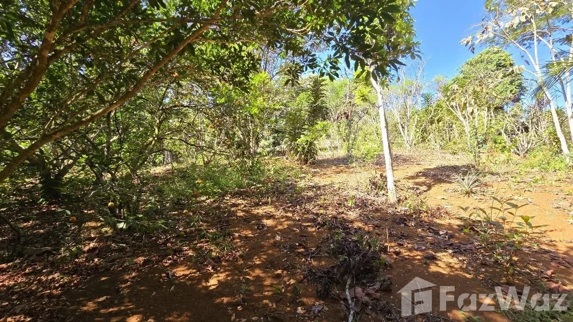 Land for Sale in Perez Zeledon, San Jose for $100,000 — photo 4