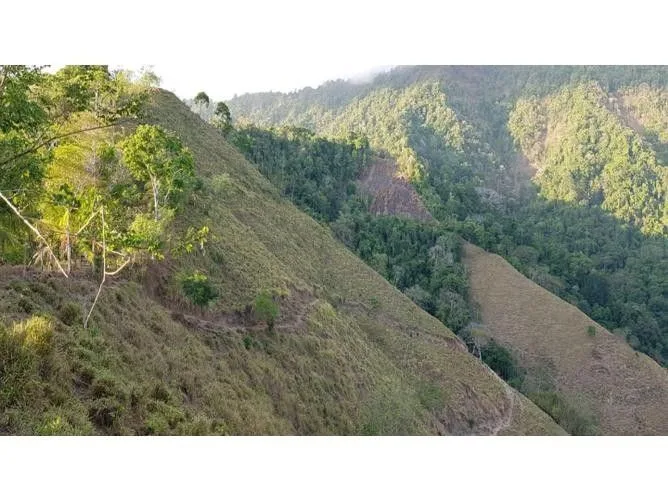 Land for Sale in Osa, Puntarenas for $294,000