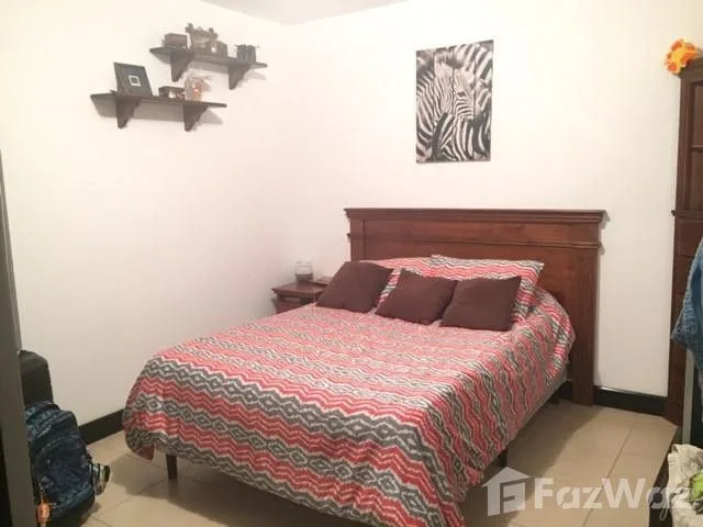 3 Bedroom House for Sale in Moravia, San Jose for $223,000 — photo 5