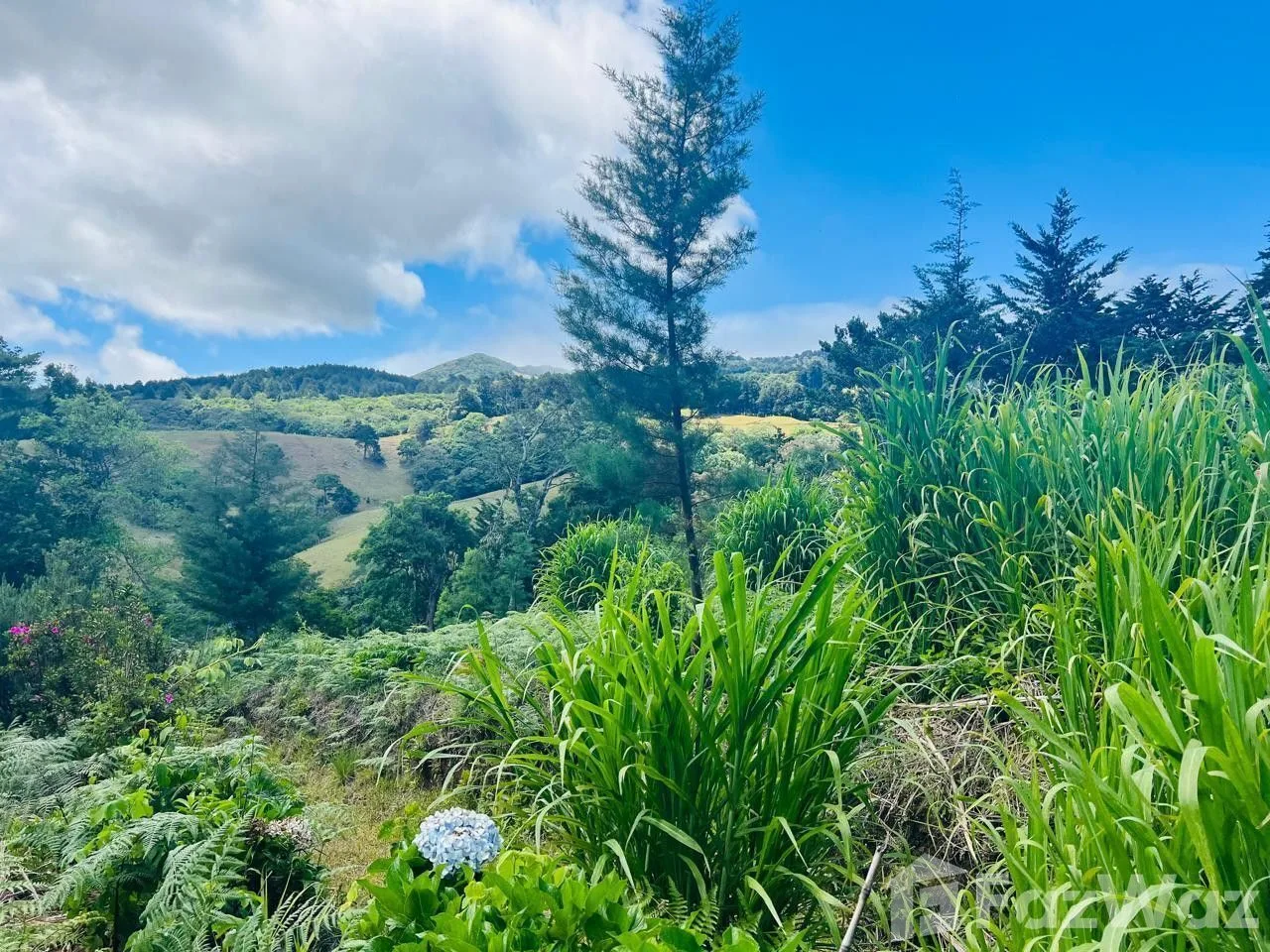 Land for Sale at HEREDIA for $200,000 — photo 4