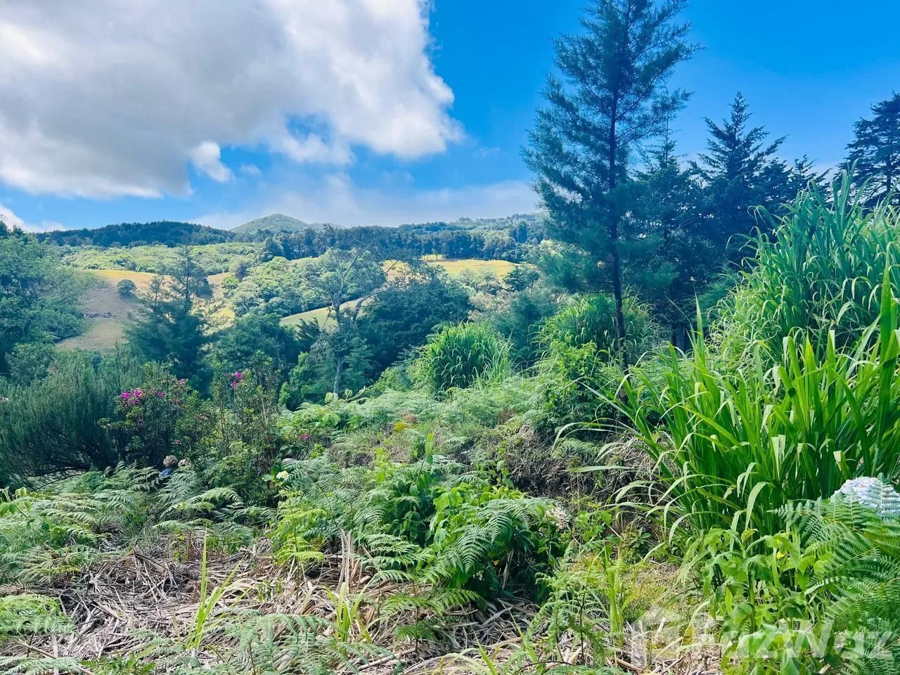 Land for Sale at HEREDIA for $200,000 — photo 5