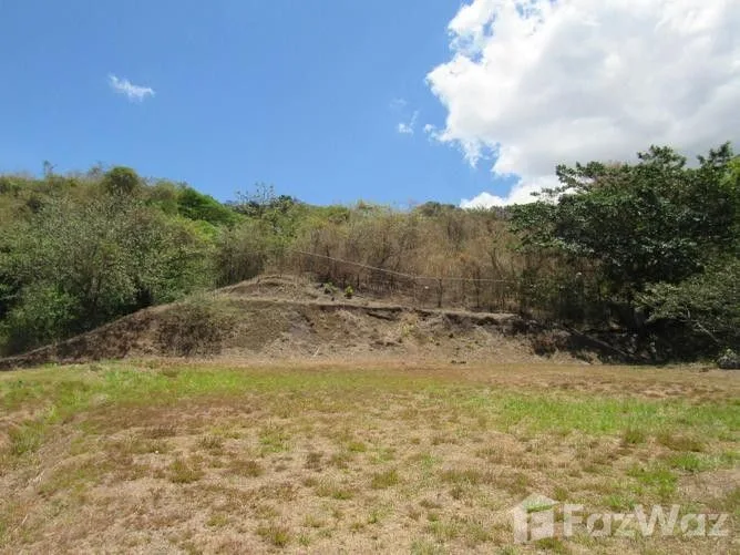 Land for Sale in Mora, San Jose for $320,000 — photo 4