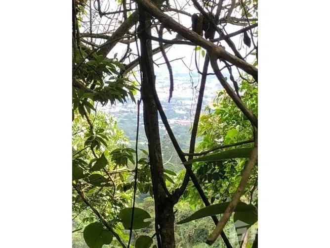 Land for Sale in Alajuelita, San Jose for $1,100,000