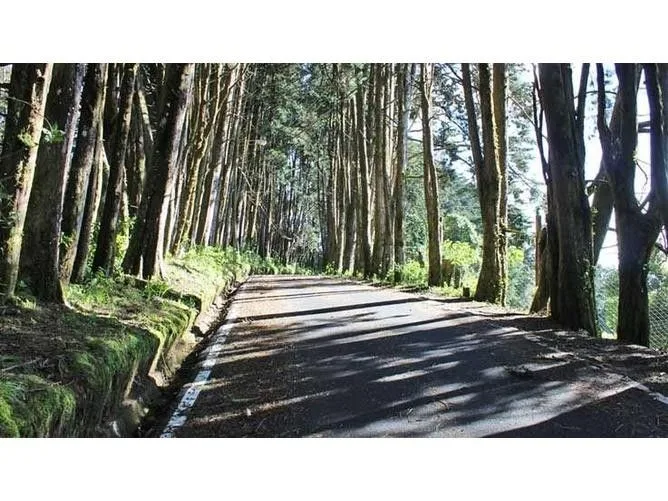 Land for Sale in San Rafael, Heredia for $117,000