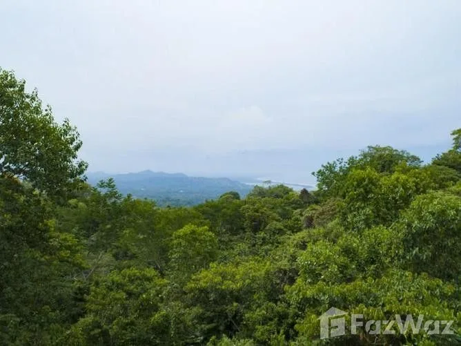 Land for Sale at Ojochal for $81,000