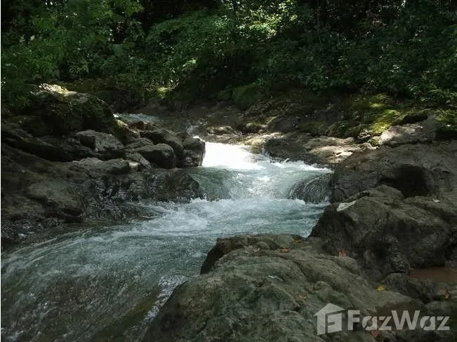 Land for Sale in Nicoya, Guanacaste for $139,000