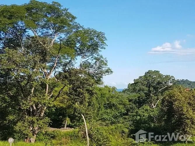 Land for Sale in Santa Cruz, Guanacaste for $99,000