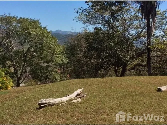 Land for Sale in Hojancha, Guanacaste for $100,000